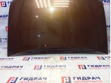 Капот Renault Duster 651000987R