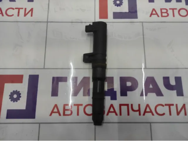 Катушка зажигания Renault Duster 224333529R