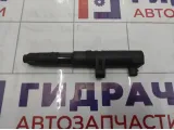 Катушка зажигания Renault Duster 224333529R