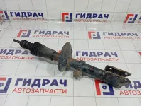 Амортизатор передний Renault Duster 543028126R