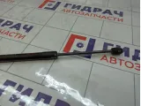 Амортизатор крышки (двери) багажника Renault Duster 904520004R