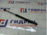Амортизатор крышки (двери) багажника Renault Duster 904520004R