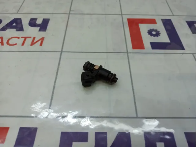 Форсунка инжекторная Renault Duster 166009398R