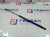 Амортизатор капота Renault Duster 654712943R