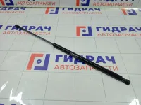 Амортизатор капота Renault Duster 654712943R