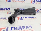 Резонатор воздушного фильтра Renault Duster T04021A152
