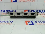Коллектор впускной Renault Duster 114729