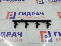 Топливная рампа (топливная рейка) в сборе Renault Duster 166009398R