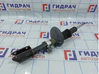 Амортизатор передний Renault Duster 543028126R