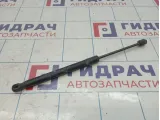 Амортизатор двери багажника Renault Duster 904520004R
