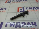 Катушка зажигания Renault Duster 8200568671