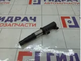 Катушка зажигания Renault Duster 8200568671