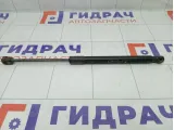 Амортизатор крышки (двери) багажника Renault Duster 904520004R