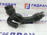 Патрубок воздушного фильтра Renault Duster 165556262R