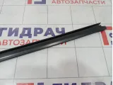 Уплотнитель стекла переднего левого Renault Duster 8200760256