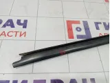 Уплотнитель стекла заднего левого Renault Duster 823310035R