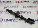 Амортизатор передний Renault Duster 543026656R