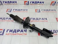 Амортизатор передний Renault Duster 543026656R