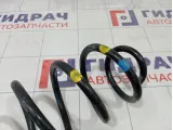 Пружина задняя Renault Duster 550207471R