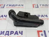 Резонатор воздушного фильтра Renault Duster