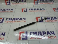 Амортизатор крышки (двери) багажника Renault Duster 904520004R