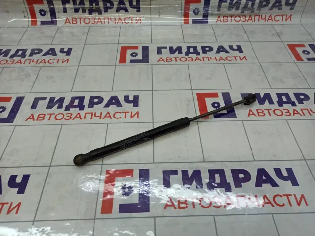 Амортизатор крышки (двери) багажника Renault Duster 904520004R