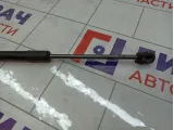 Амортизатор крышки (двери) багажника Renault Duster 904520004R