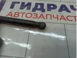 Амортизатор крышки (двери) багажника Renault Duster 904520004R