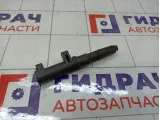 Катушка зажигания Renault Duster 224333529R