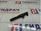 Катушка зажигания Renault Duster 224333529R