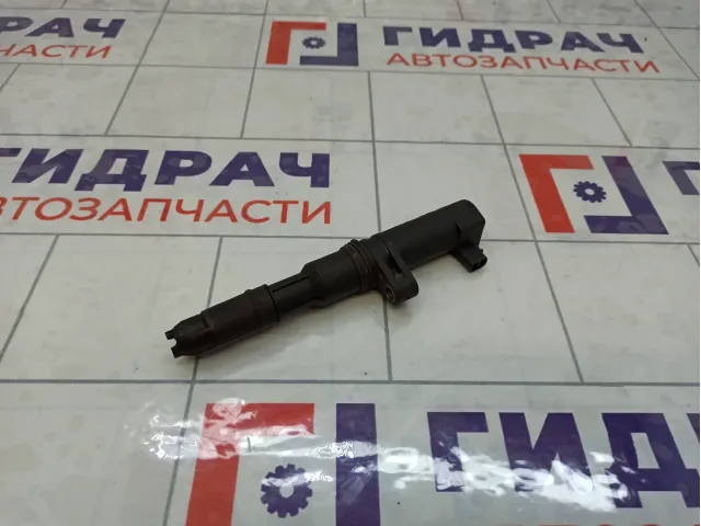 Катушка зажигания Renault Duster 224333529R