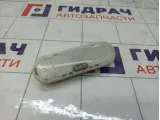 Плафон салонный Renault Duster 8200074362