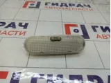 Плафон салонный Renault Duster 8200074362