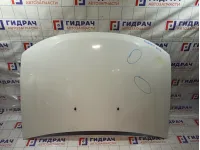 Капот Renault Duster 651000987R