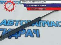 Амортизатор двери багажника Renault Duster 904520004R.