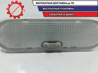 Плафон салонный Renault Duster 8200074362.