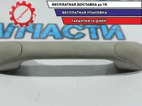 Ручка внутренняя потолочная Renault Duster 8200845691.