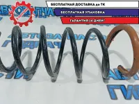 Пружина задняя Renault Duster 550202720R.