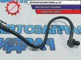Шланг вакуумного усилителя тормоза Renault Duster 8200756109.