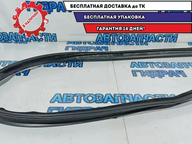 Уплотнитель двери левый Renault Duster 768618281R. На крышу.