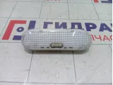 Плафон салонный Renault Duster 8200074362