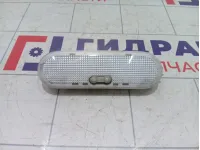 Плафон салонный Renault Duster 8200074362
