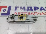 Плафон салонный Renault Duster 8200074362