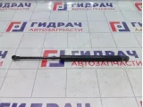 Амортизатор крышки (двери) багажника Renault Duster 904520004R