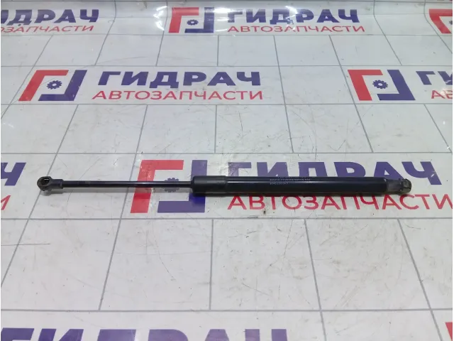 Амортизатор крышки (двери) багажника Renault Duster 904520004R