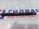 Амортизатор крышки (двери) багажника Renault Duster 904520004R
