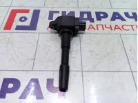 Катушка зажигания Renault Duster 224332428R
