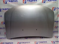 Капот Renault Duster 651000987R