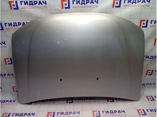 Капот Renault Duster 651000987R