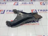 Рычаг передний левый Renault Duster 545012815R